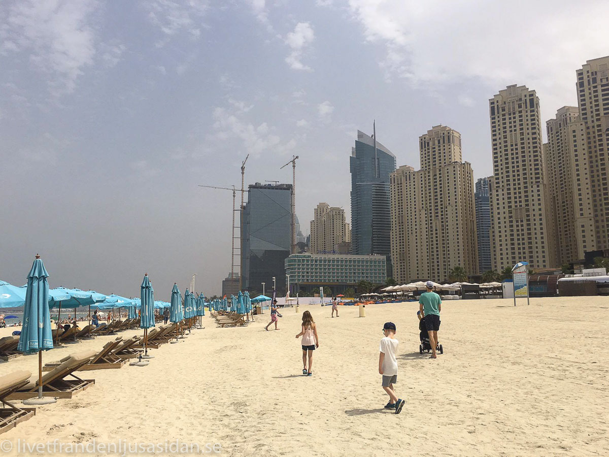 Dubai marina (1 av 1)-7