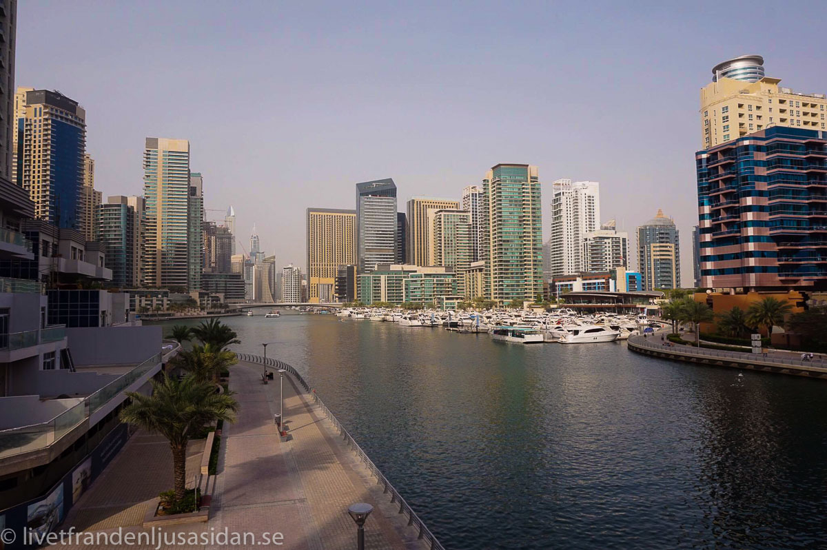 bo i Dubai marina (1 av 1)-4
