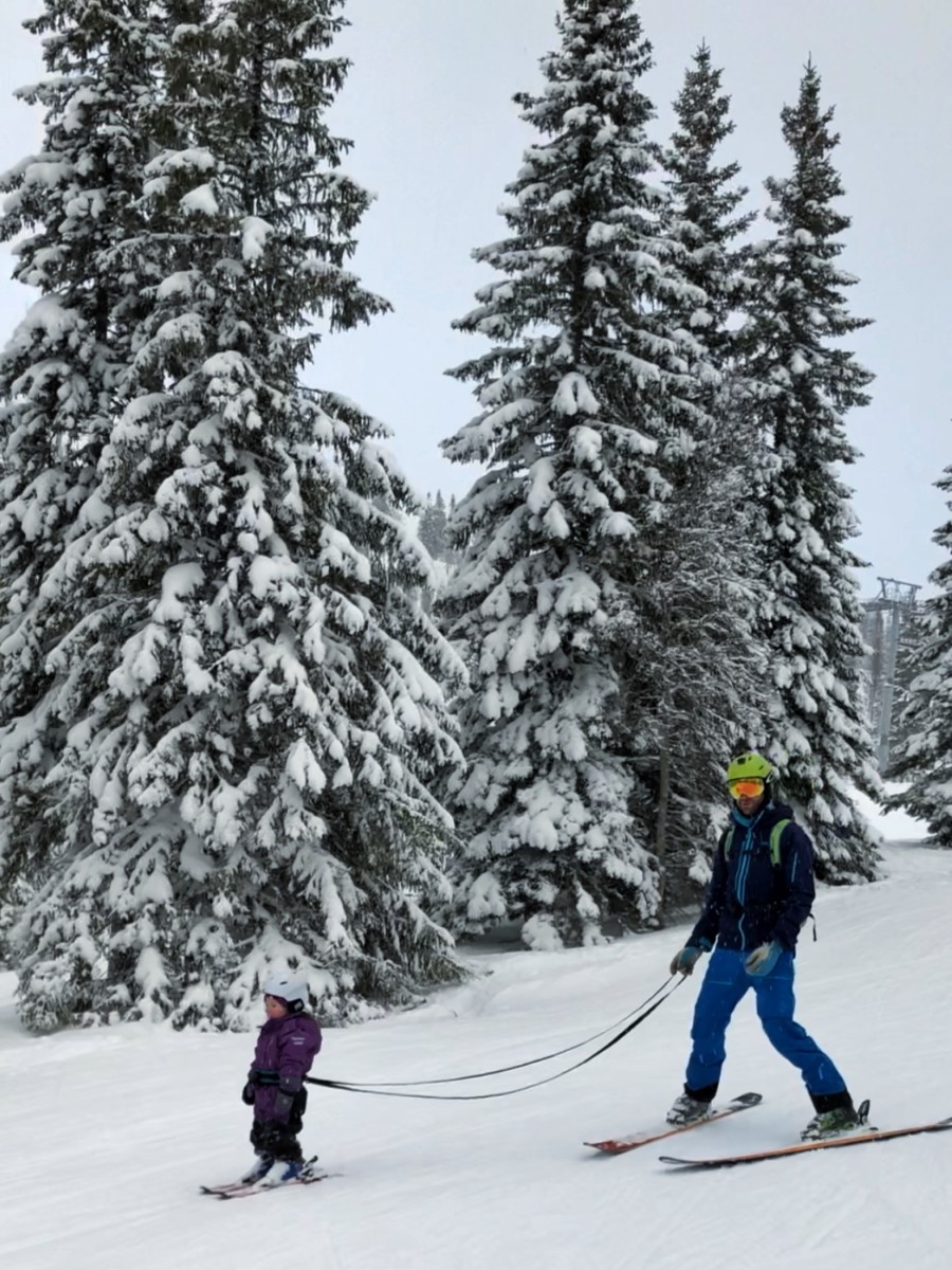 lära barn åka skidor sele
