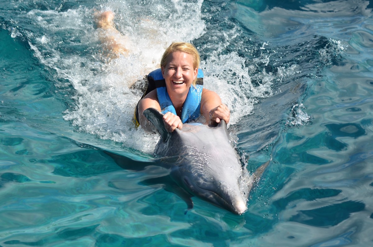 simma med delfiner