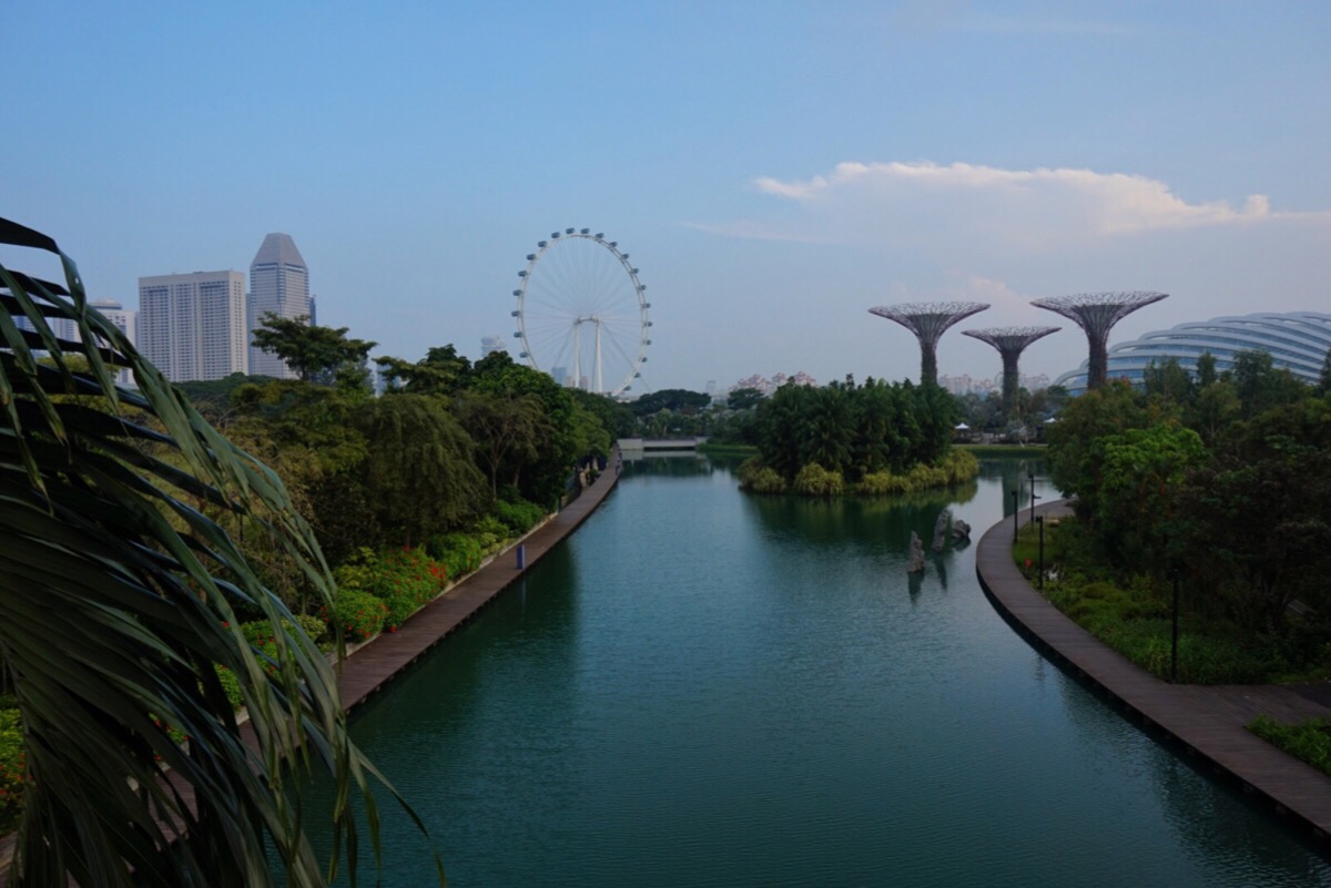 guide till singapore tips att göra i singapore