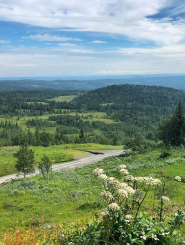 åre sommar löpning