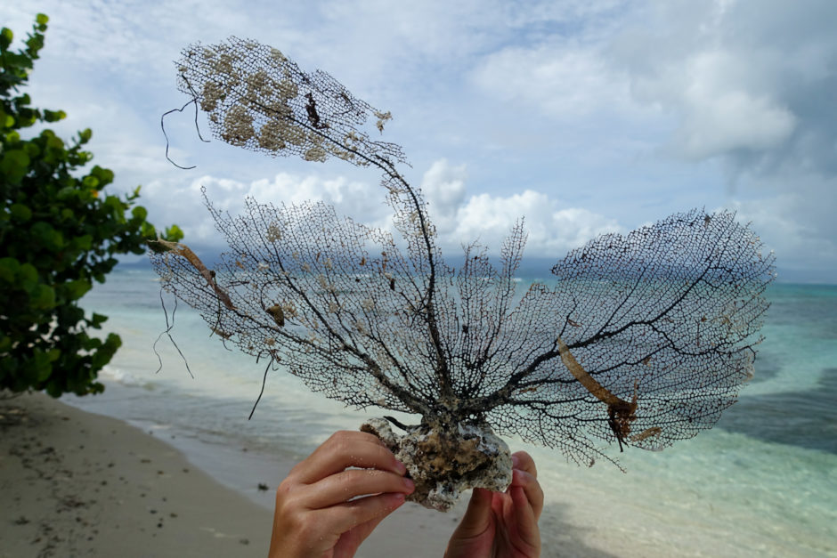 stränder-på-grande-terre-guadeloupe-4-ilet-du-gosier