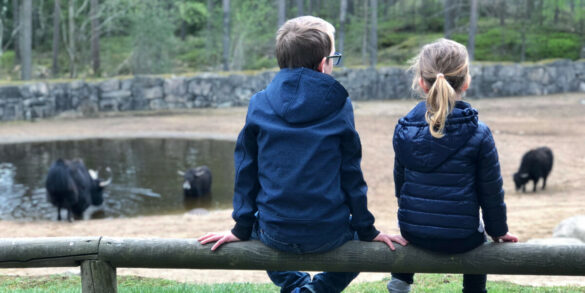 premiär på Kolmården safari max meja