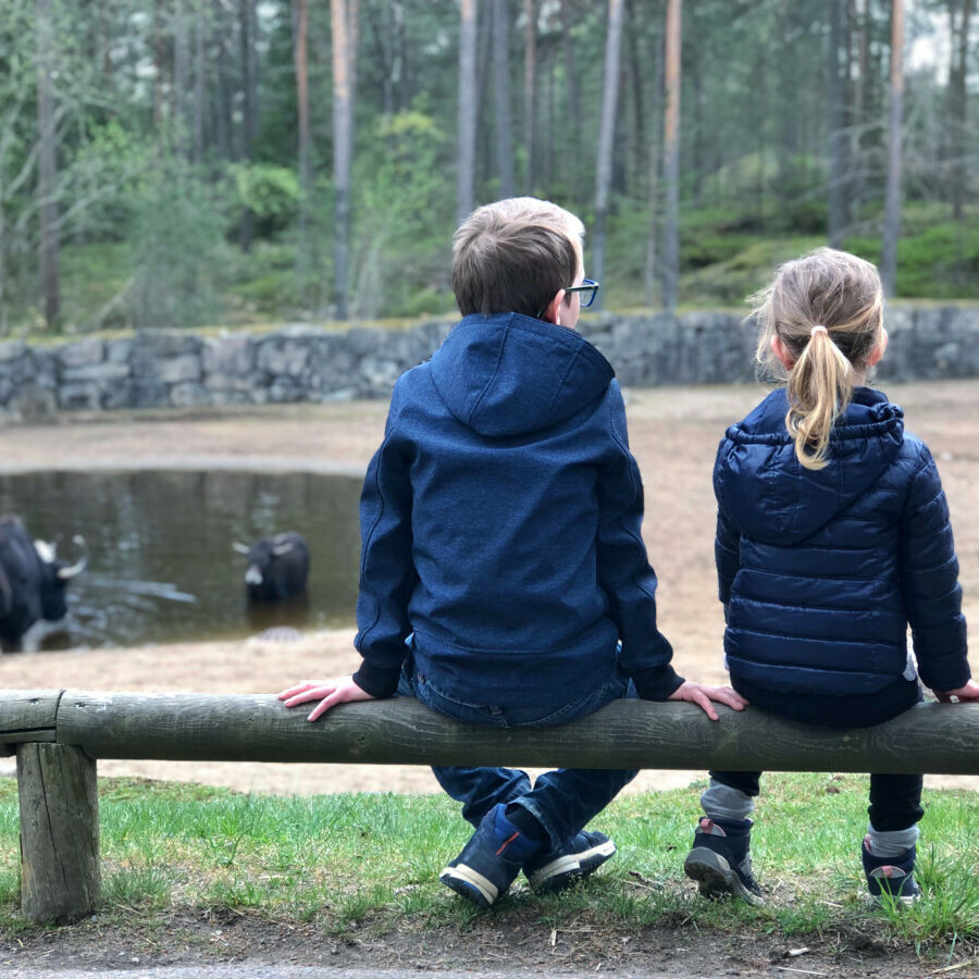 premiär på Kolmården safari max meja