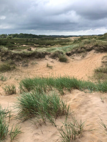 halmstad östra stranden