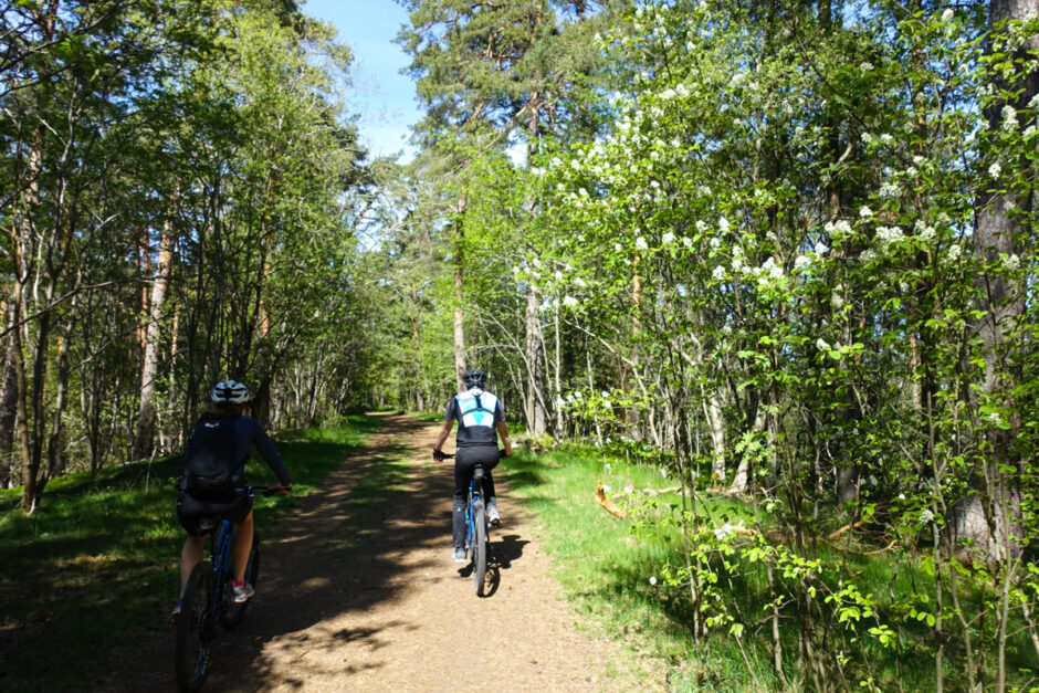 mountainbike i Uppsala - Kronparken Aktivt uteliv-8