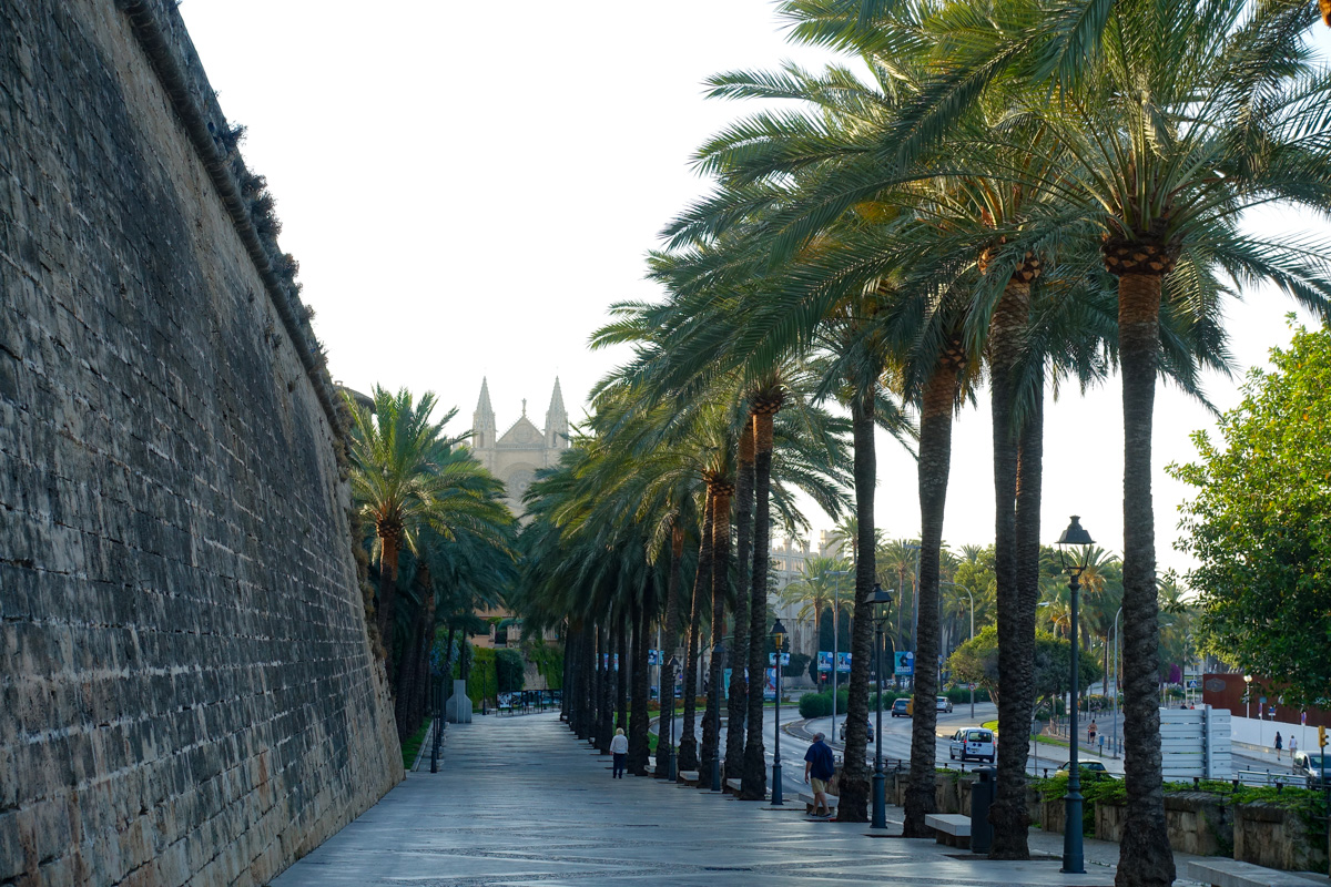 Guide till Palma - om Mallorcas roligaste stad, med restauranger, barer