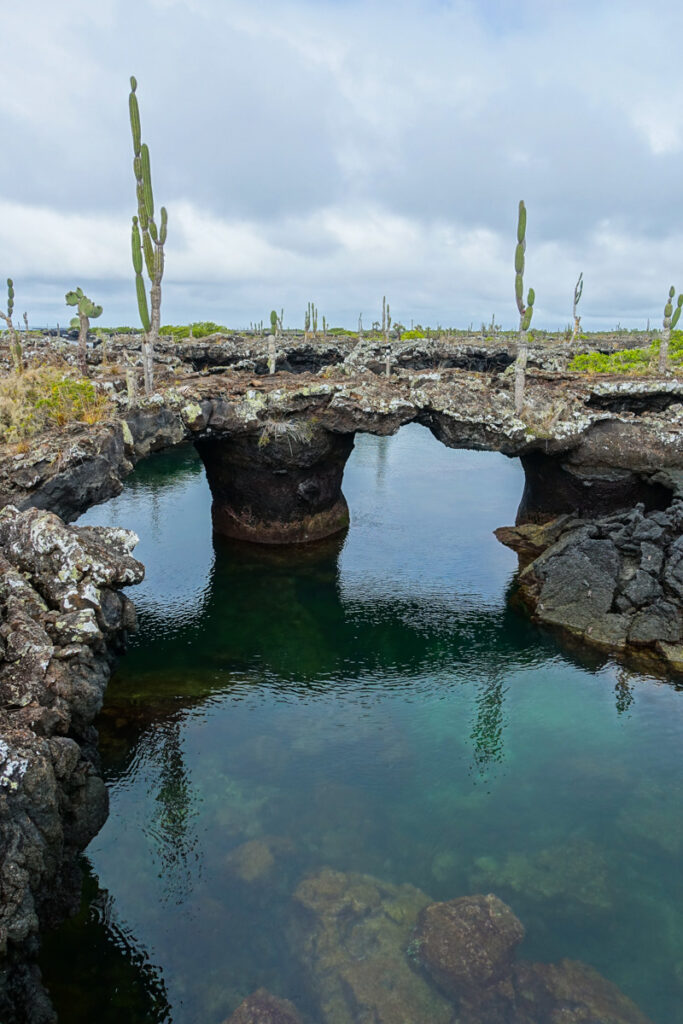 guide till galapagos reseguide galapagosöarna los tuneles