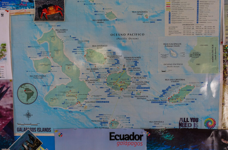 guide till galapagos reseguide galapagosöarna