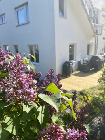 hus villa syren