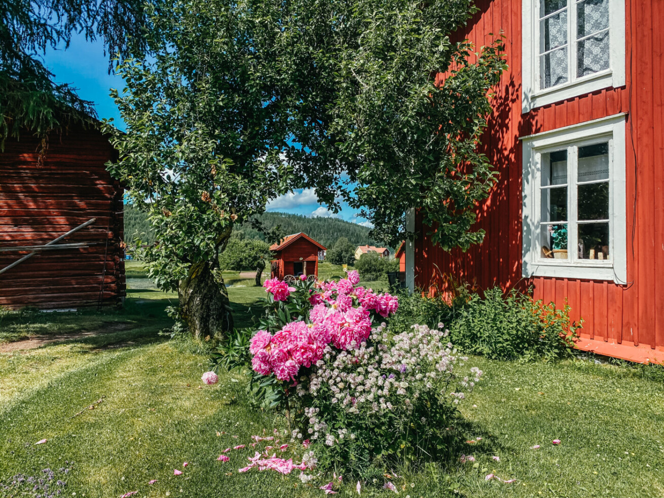 Semester hemma i Dalarna - Let's Go Explore