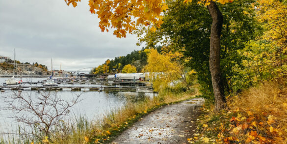 nacka strandpromenad svindersviken