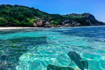 la digue seychellerna anse source d argent l union estate