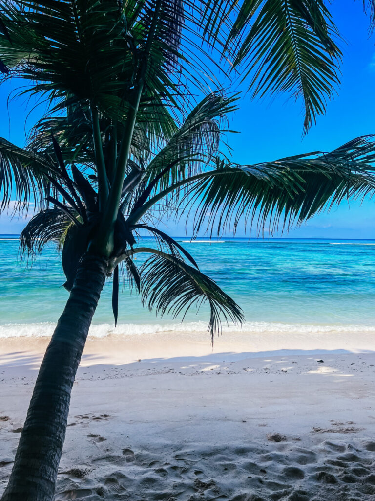 la digue seychellerna anse source d argent l union estate