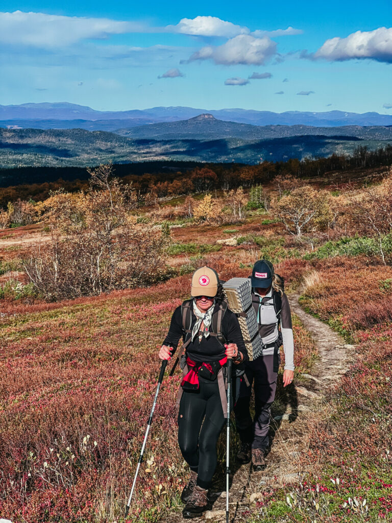 Vandring Åre; Husåturen (led 217) till Åreskutan runt (led 211)