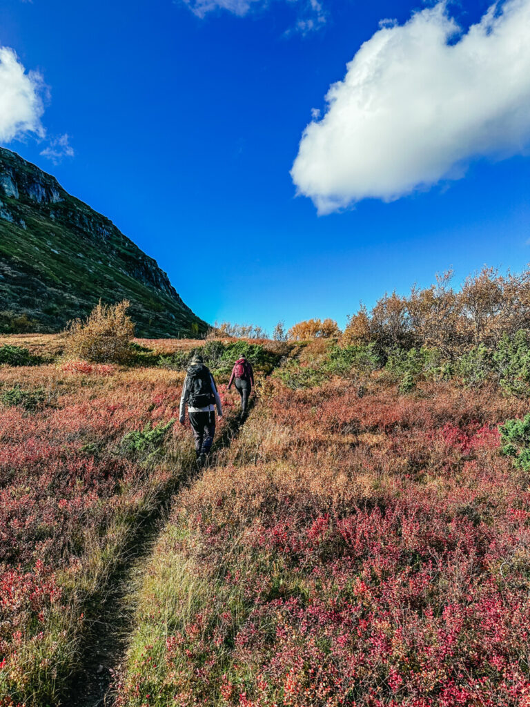 Vandring Åre; Husåturen (led 217) till Åreskutan runt (led 211)