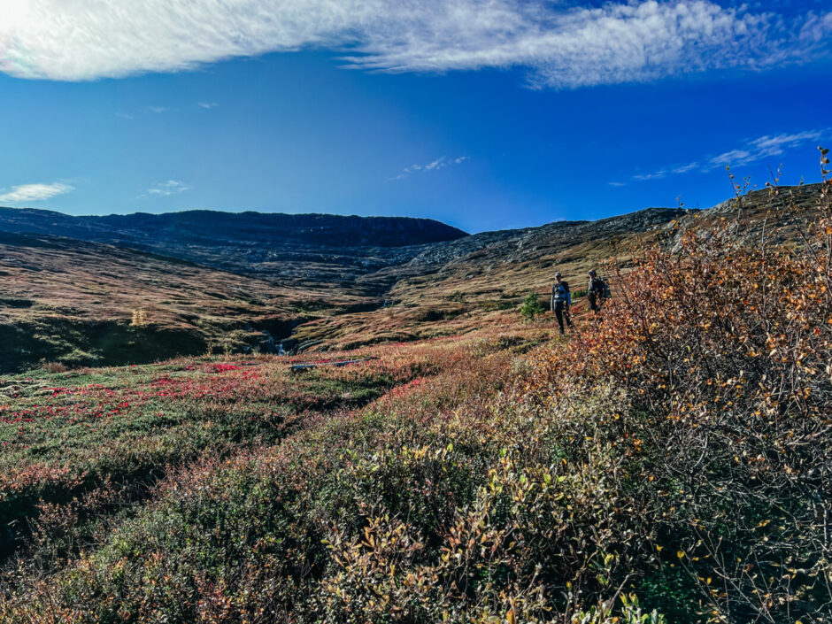 Vandring Åre; Husåturen (led 217) till Åreskutan runt (led 211)