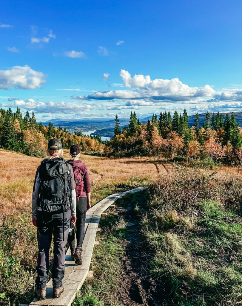 Vandring Åre; Husåturen (led 217) till Åreskutan runt (led 211)