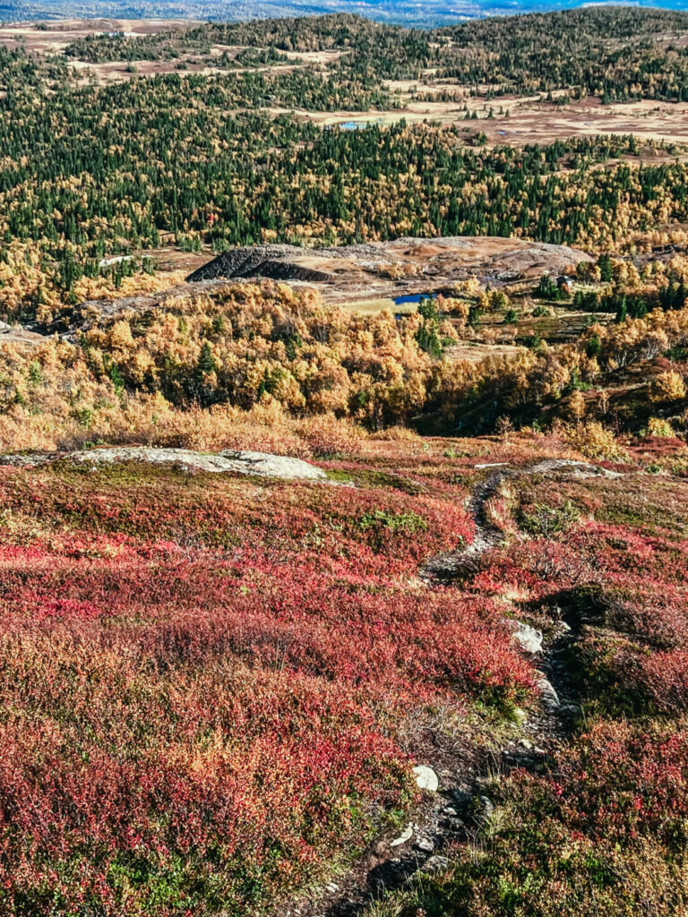 Vandring Åre; Husåturen (led 217) till Åreskutan runt (led 211)