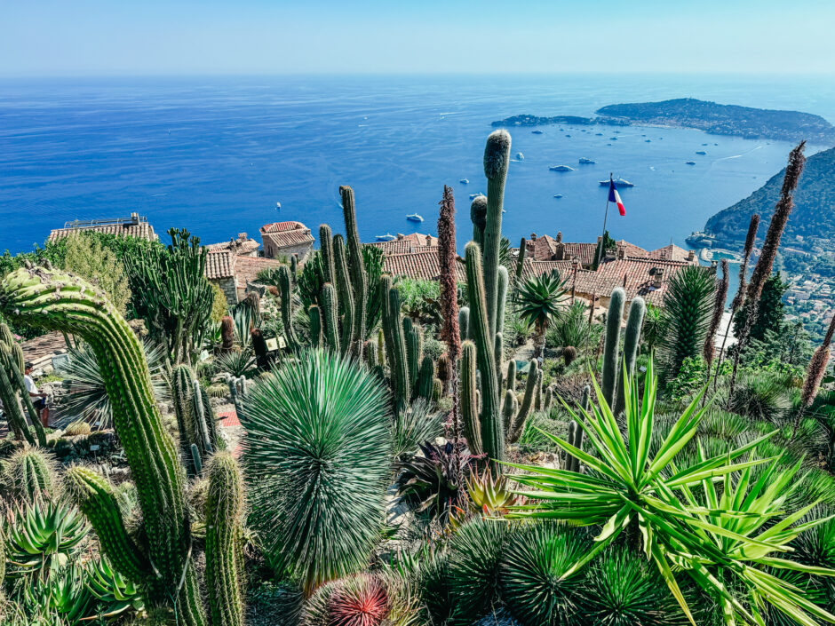 Le Jardin Exotique, Eze