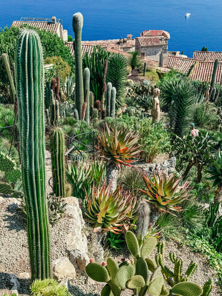 Le Jardin Exotique, Eze